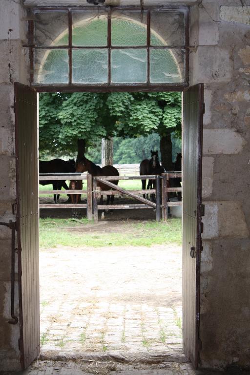 Chateau De La Tour Bed and Breakfast Rivarennes  Buitenkant foto